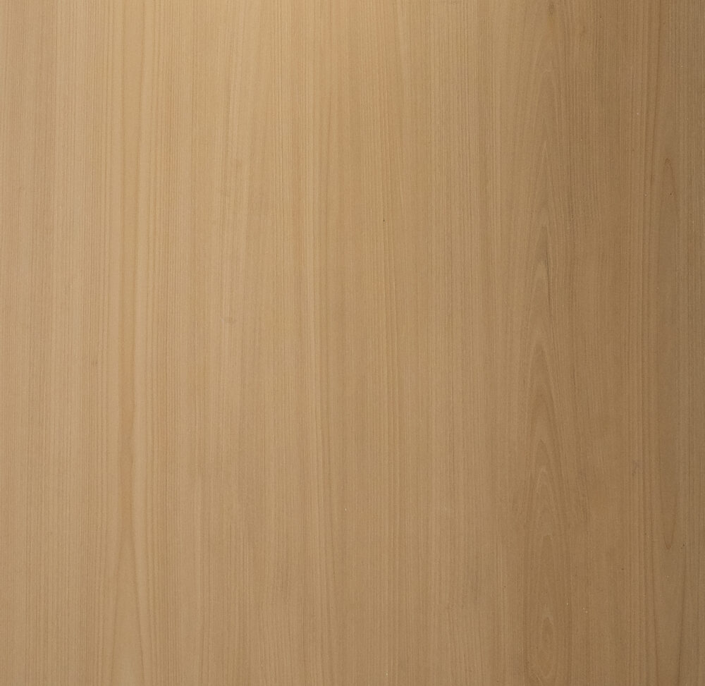 E-slap 160x320 รหัส cropped-21