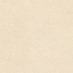 CON25612326 กระเบื้องรัสติก-ผิวด้าน