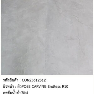 CON25612312 กระเบื้องรัสติก-POSE CARVING