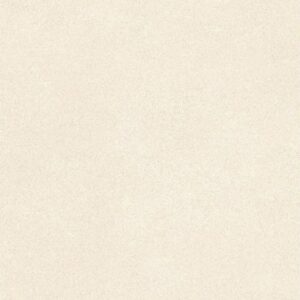 CON25612325 กระเบื้องรัสติก-ผิวด้าน