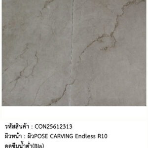 CON25612313 กระเบื้องรัสติก-POSE CARVING