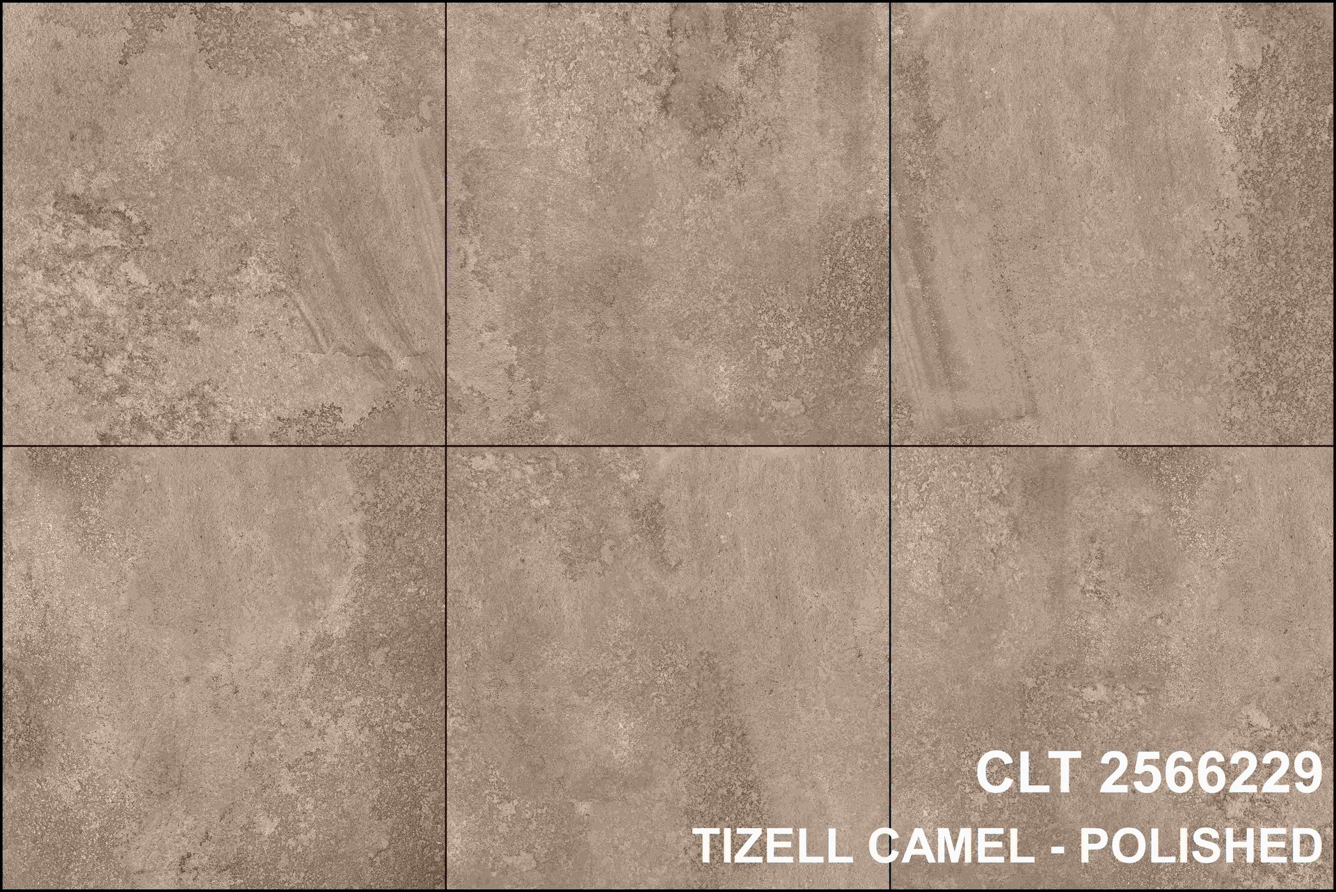 CLT2566229 กระเบื้องพอร์ซเลนเคลือบ - Image 2