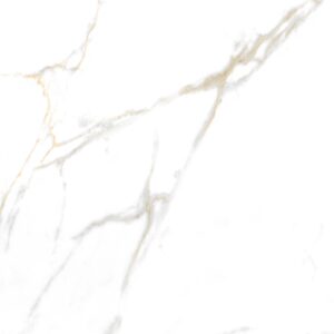 SPL8802 กระเบื้องพอร์ซเลนเคลือบ