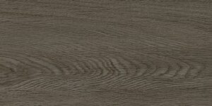 DL-251560350 กระเบื้องลายไม้