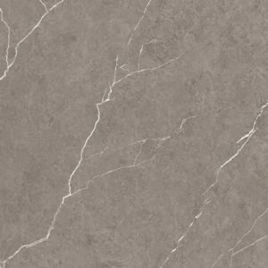 CON2566331 กระเบื้องรัสติก-ผิวด้าน