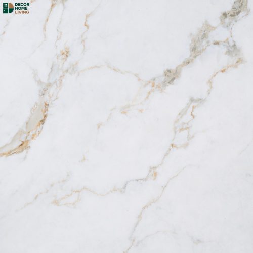 กระเบื้องหน้าแมท 120x120 รหัส EM121205