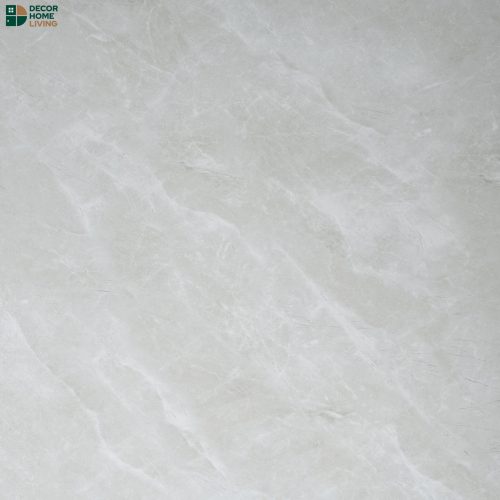กระเบื้องหน้าแมท 60x60 รหัส L66306