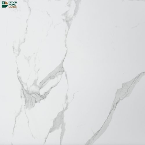 กระเบื้องหน้าแมท 60x60 รหัส WHITE CARARA