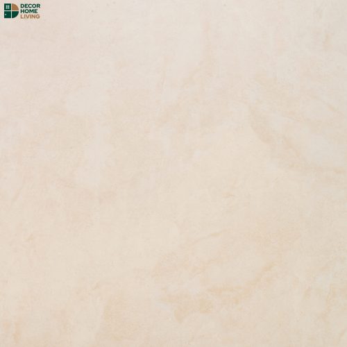 กระเบื้องหน้าแมท 60x60 รหัส F6008