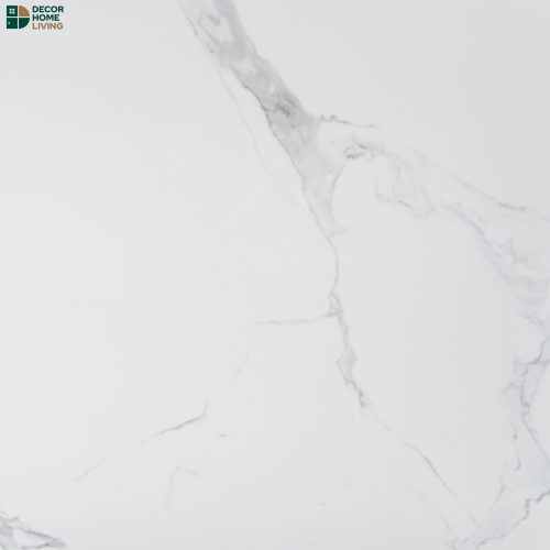 กระเบื้องหน้าเงา 60x60 รหัส RG6611