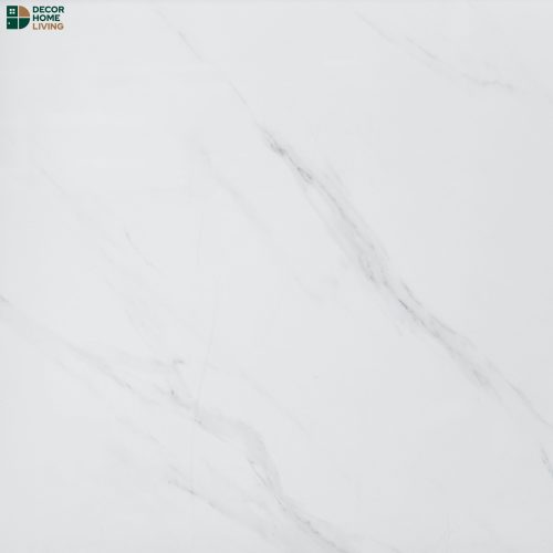 กระเบื้องหน้าเงา 60x60 รหัส B6053