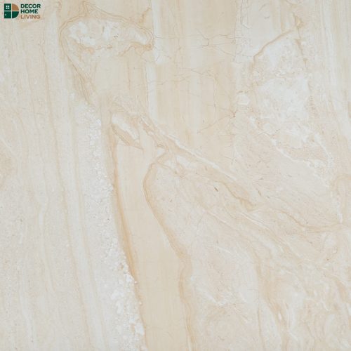 กระเบื้องหน้าเงา 60x60 รหัส DYNA RUBIA