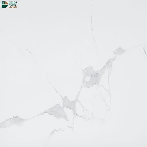 กระเบื้องหน้าเงา 60x60 รหัส STATURIO