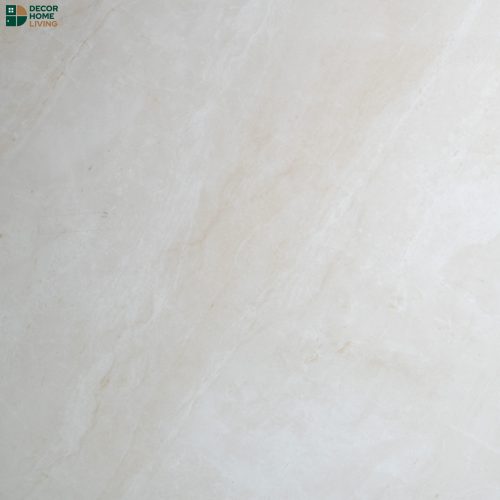 กระเบื้องหน้าเงา 60x60 รหัส 6509