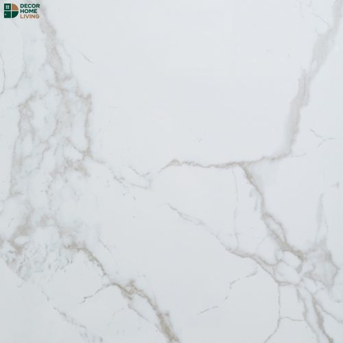 กระเบื้องหน้าเงา 60x60 รหัส 6366