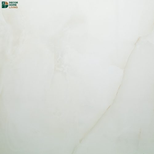 กระเบื้องหน้าเงา 60x60 รหัส 6810